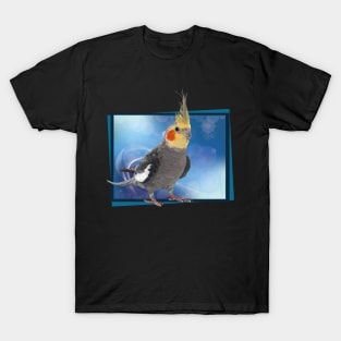 Nymph Cockatoo T-Shirt